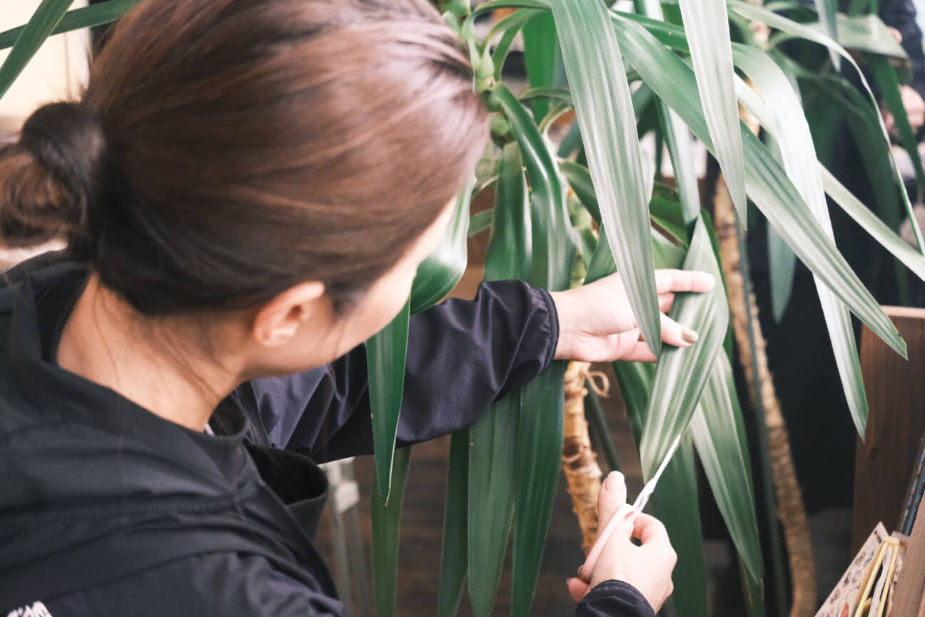 Green Primeのスタッフが植物をケアする様子