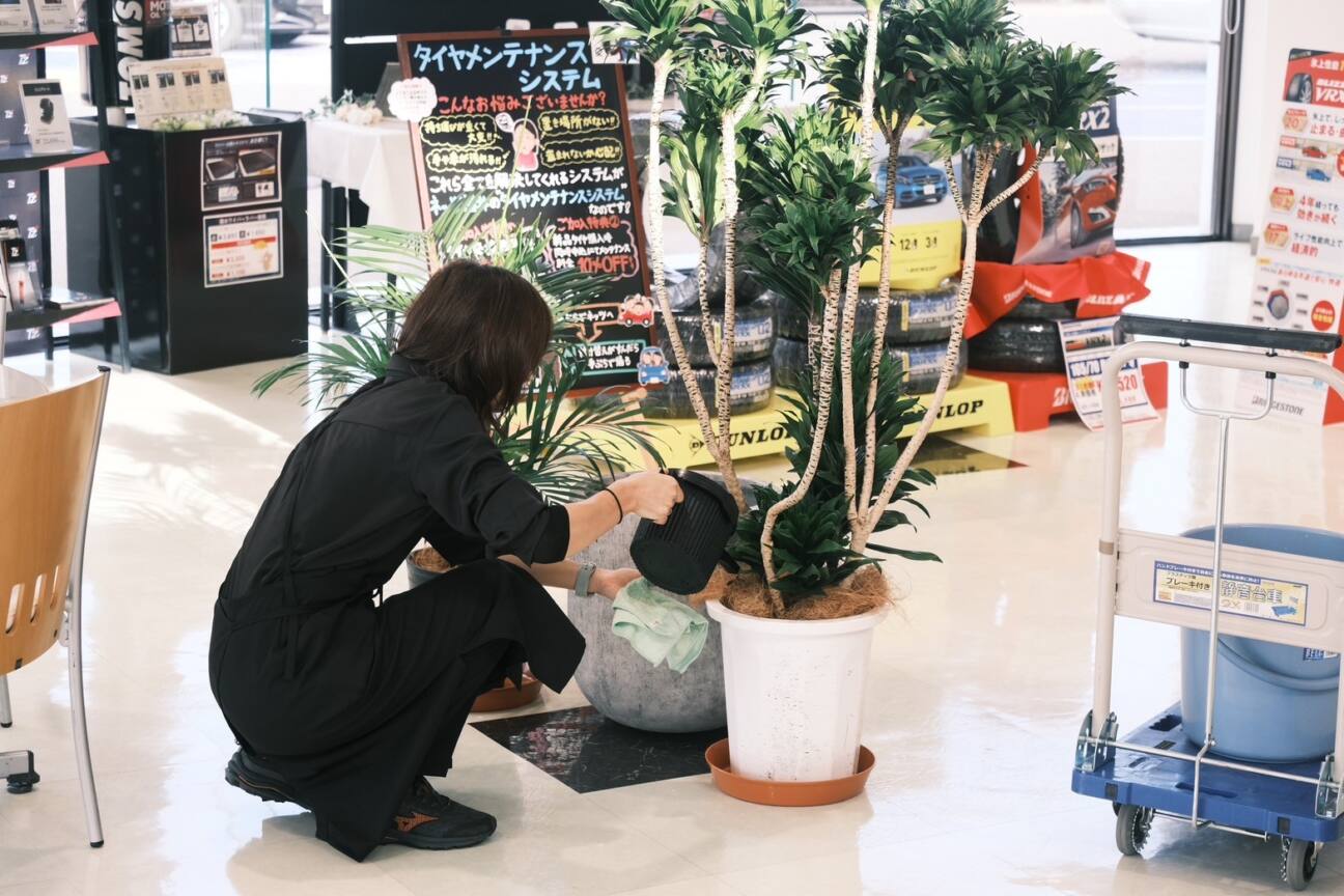 ネッツトヨタ丸岡 ショールーム