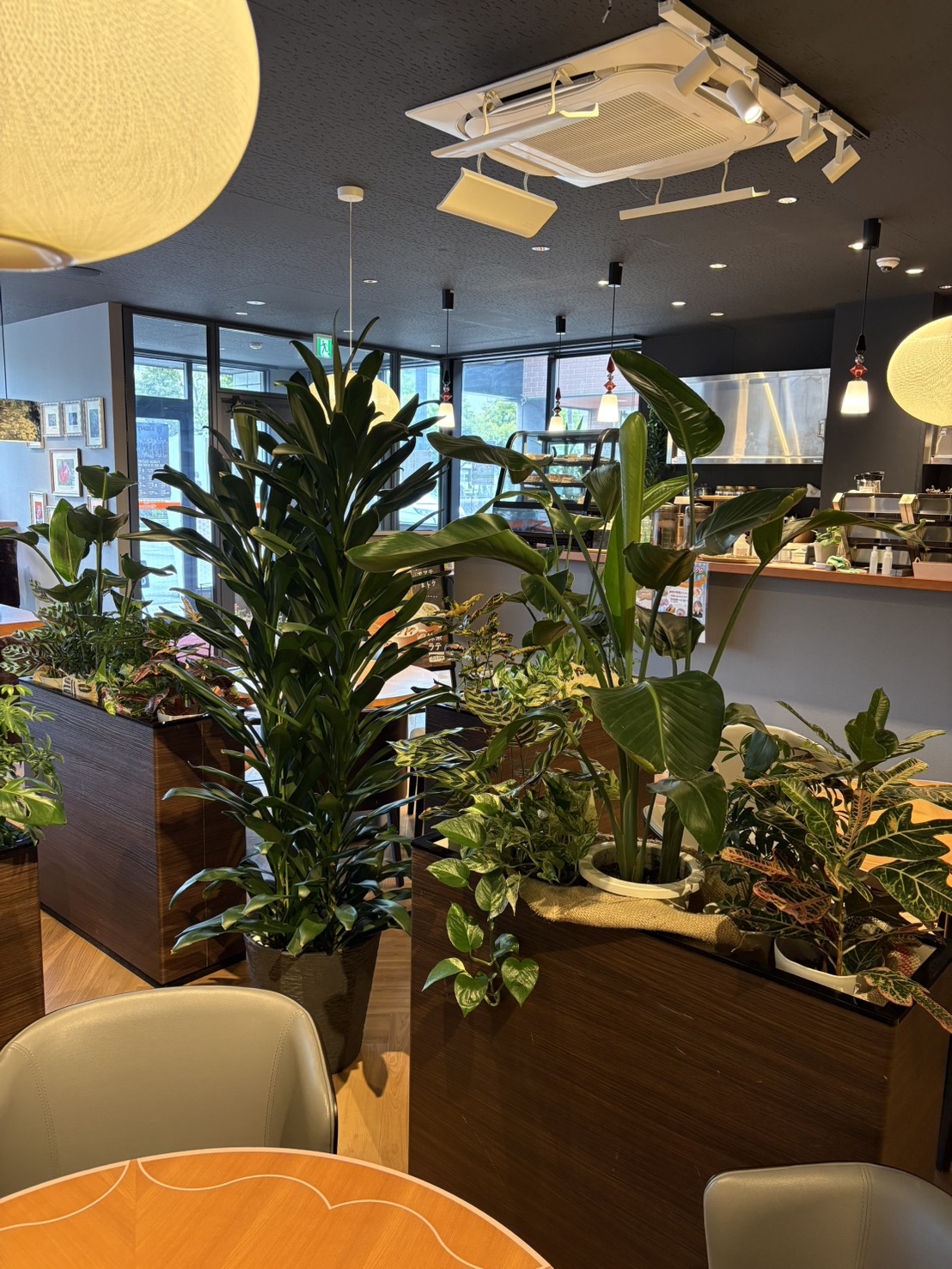 cafe Hanamori福井医科大前店　様